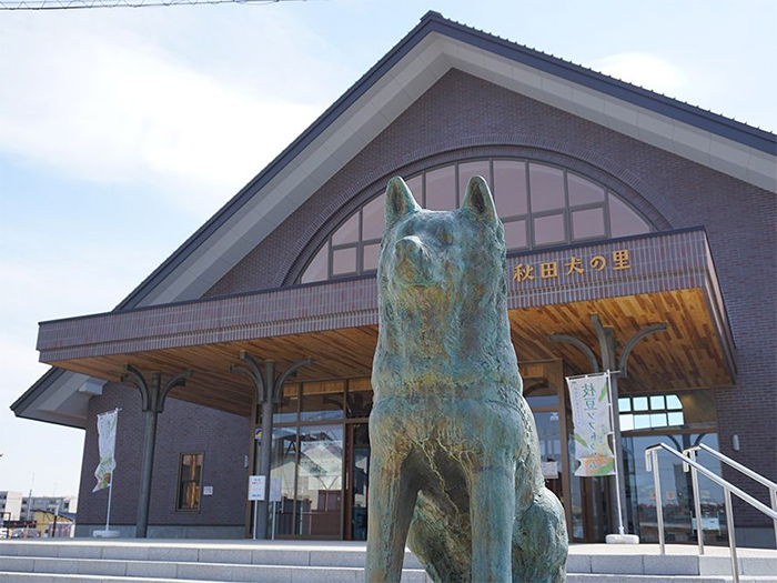 Akita Dog Visitor Center