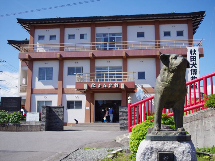 Akita Dog Museum